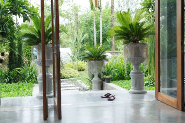 iç tasarım dekorasyon ağaç Saksı bitkileri yeşil ile