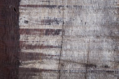 soyut ahşap yaşlı kaba tahıl yüzey dokusunu yıpranmış