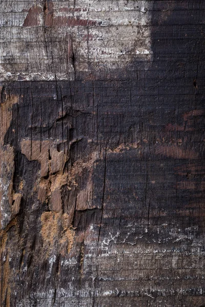Выветриваемая древесина текстура грубой поверхности зерна — стоковое фото