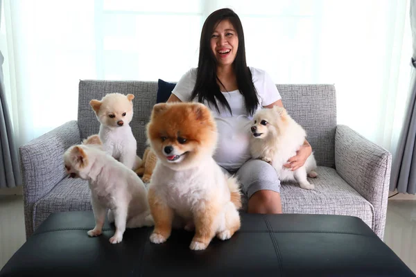 Woman pregnant and pomeranian dog cute pets in living room — Stock Photo, Image