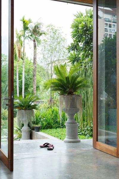 Дизайн интерьера с растениями в горшках — стоковое фото