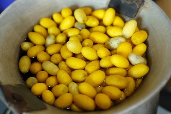 Golden yellow cocoon silkworm process to silk thread textile — Stock Photo, Image