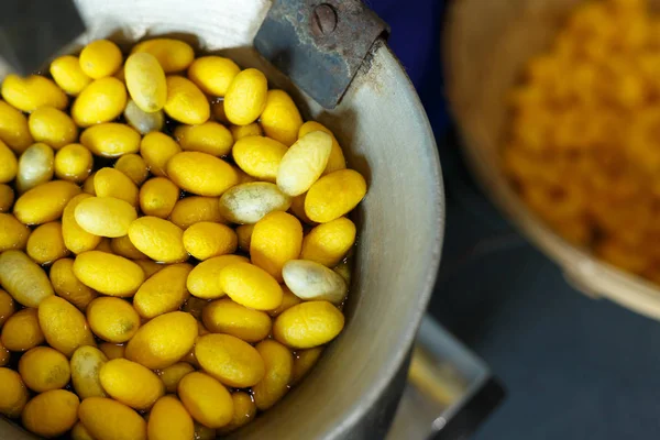 Golden yellow cocoon silkworm process to silk thread textile — Stock Photo, Image