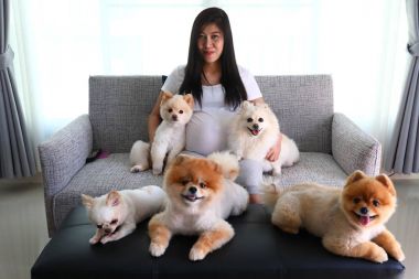 kadın hamile ve oturma odasında pomeranian köpek sevimli hayvanlar
