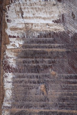 ahşap yaşlı kaba tahıl yüzey dokusunu arka plan yıpranmış