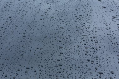araba cam kaplama koruma deri ile yağmur damlaları