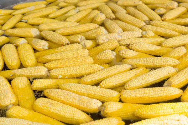 Kukorica forraljuk vegetáriánus ételek — Stock Fotó