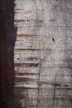 soyut ahşap yaşlı kaba tahıl yüzey dokusunu yıpranmış