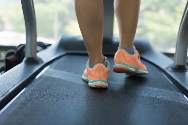 human walking exercise on run treadmill machine cardio equipment