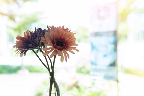 Mooie kunstmatige bloem in kleine glazen vaas — Stockfoto