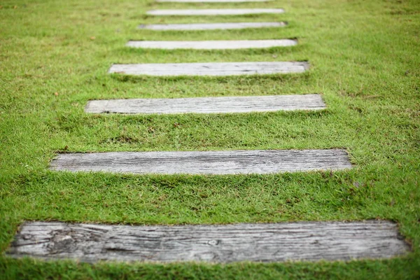 Chemin en béton trottoir étape sur herbe verte jardin de cour avant — Photo