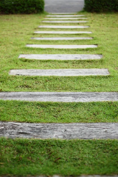 Camino de hormigón pavimento paso en césped verde jardín patio delantero — Foto de Stock