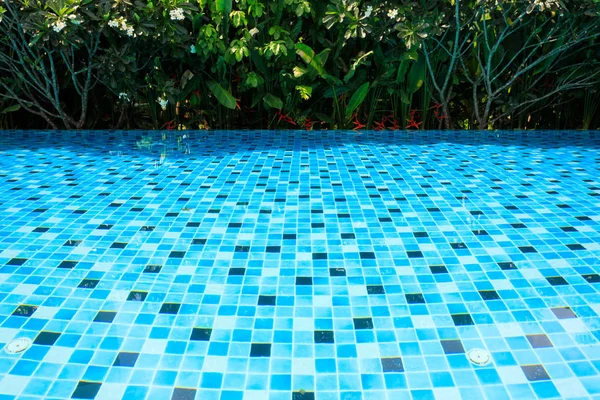 Mavi Yüzme Havuzu etrafında yeşil doğa bahçeli — Stok fotoğraf