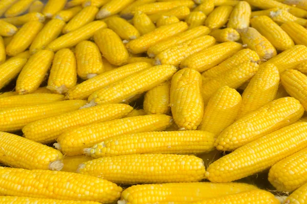 Corn boil vegetarian food — Stock Photo, Image