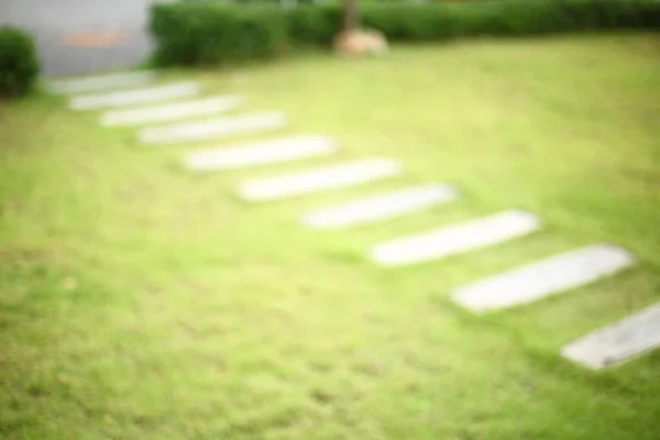 Тротуар шаг по зеленой траве перед садом — стоковое фото