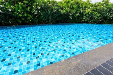 Mavi Yüzme Havuzu etrafında yeşil doğa bahçeli