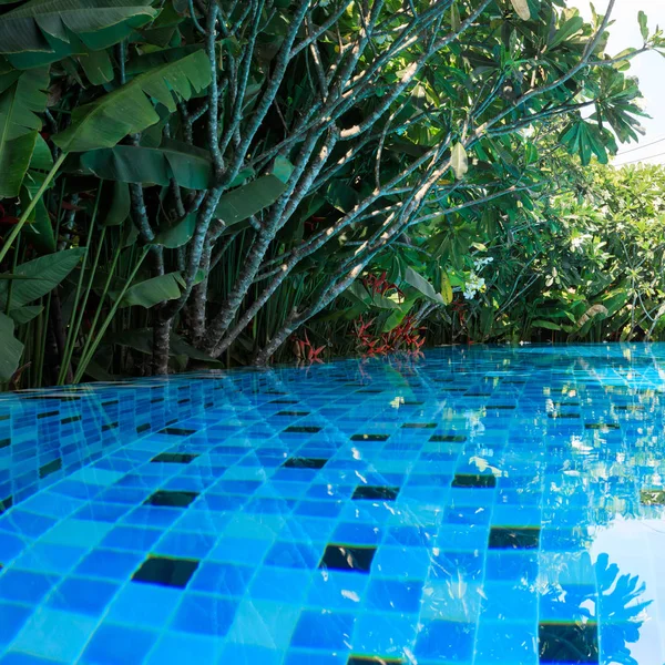 Piscina blu intorno con paesaggio verde giardino natura — Foto Stock