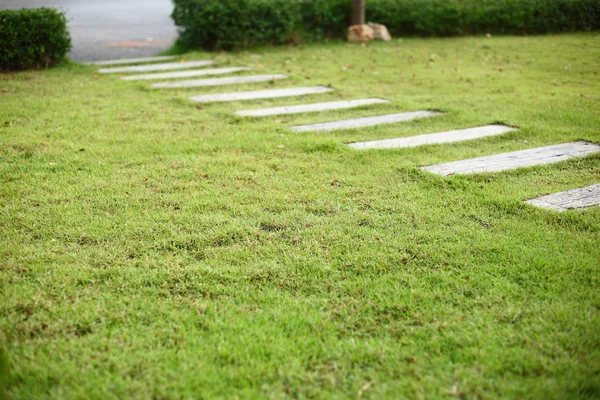 Piso caminho de concreto passo no jardim jardim jardim jardim frente grama verde — Fotografia de Stock