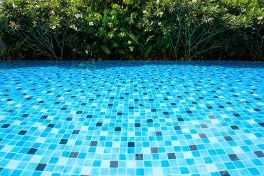 Mavi Yüzme Havuzu etrafında yeşil doğa bahçeli