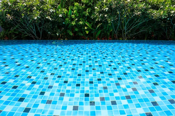 Piscina blu intorno con verde giardino naturale — Foto Stock