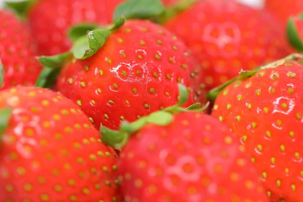 Red strawberry fruit — Stock Photo, Image