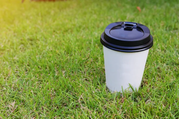 hot coffee drink disposable cup on green grass turf field