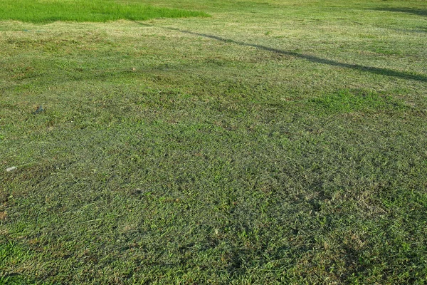 Mowed green grass lawn field — Stock Photo, Image