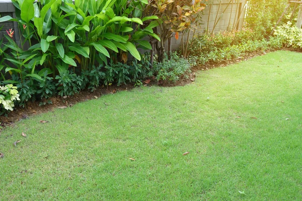 Jardín arreglo paisajismo con césped de hierba verde y pequeña planta de shurb en el patio trasero de la decoración del hogar — Foto de Stock