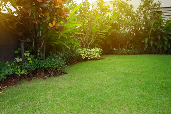 Pelouse aménagement paysager avec gazon vert herbe dans la maison de jardin — Photo