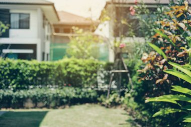 Yeşil çimen çimenliği ve ev bahçesinin dışında küçük bir bitki olan çimlerin bulanık arkaplanı