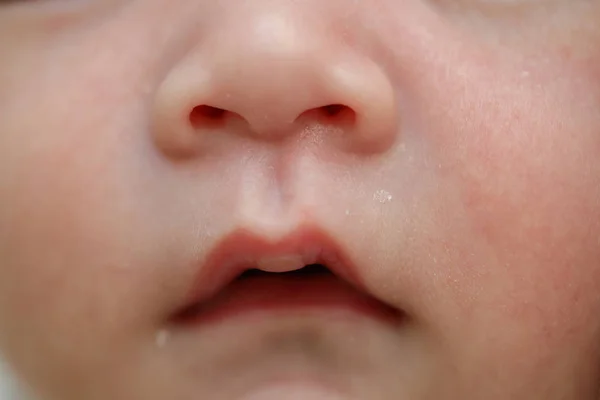 Fechar boca e nariz recém-nascido bebê maciez pele sensível — Fotografia de Stock