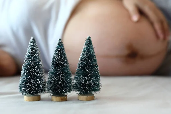 Malé vánoční strom s ženou těhotné pozadí — Stock fotografie