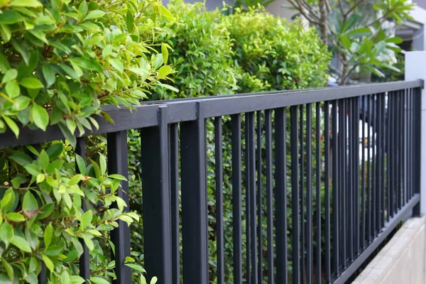 緑の葉を持つ境界家の黒鋼鉄柵 — ストック写真