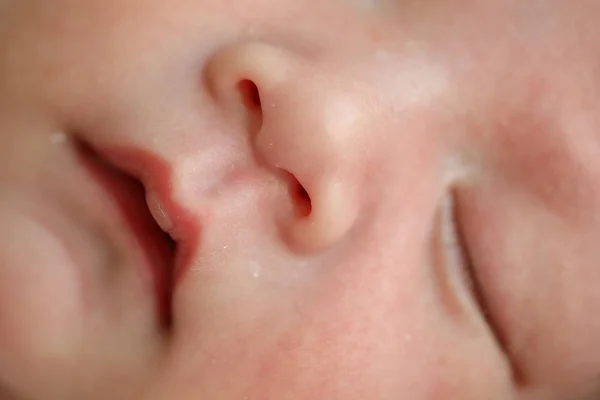 Baby nose Stock Photos, Royalty Free Baby nose Images | Depositphotos