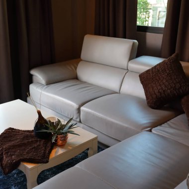 Oturma odasındaki deri kanepe mobilyaları