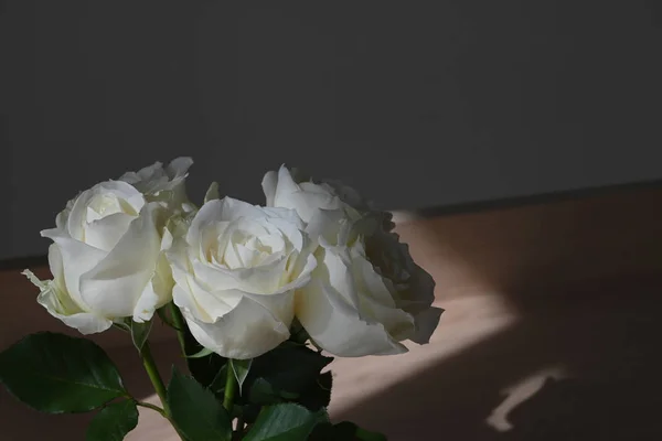 美丽的白玫瑰在朝阳的花瓶中绽放着华丽的花朵 — 图库照片