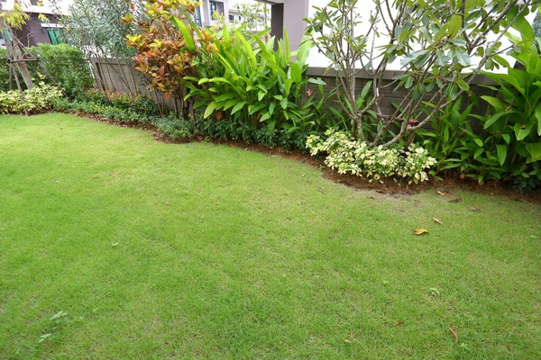 Aménagement de jardin aménagement paysager avec gazon d'herbe verte et petite plante d'arbuste dans le sac à dos de décor à la maison — Photo