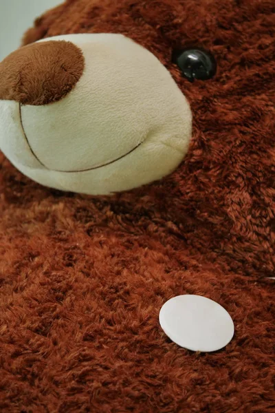 Leere weiße Kreis Brosche Anstecker auf großen braunen Teddybär flauschig kuschelig — Stockfoto