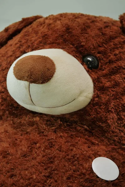 Leere weiße Kreis Brosche Anstecker auf großen braunen Teddybär flauschig kuschelig — Stockfoto