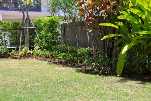 Jardin d'aménagement paysager de pelouse avec gazon vert et petite décoration végétale à l'extérieur de la maison — Photo