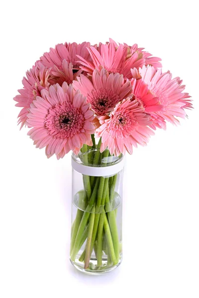 Roze gerbera bloeiend in glazen vaas decoratie, mooie bloem geïsoleerd op witte achtergrond — Stockfoto