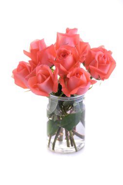 beyaz arkaplanda izole edilmiş vazo süslemesindeki turuncu gül çiçeği