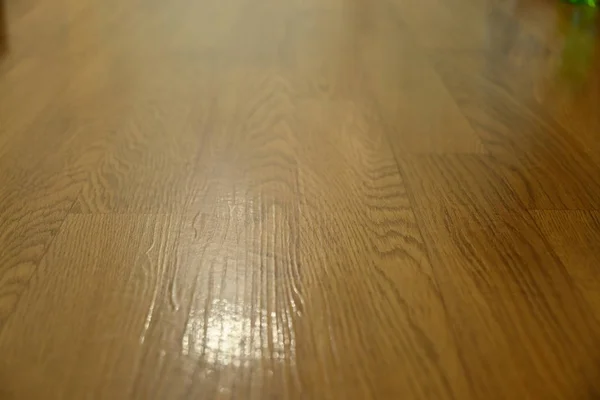 brown wood laminate clean floor polished in home