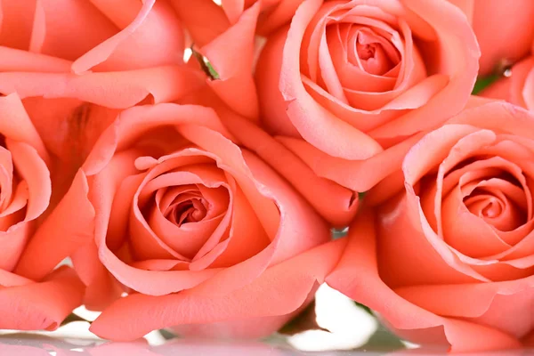 Ramo de flores de color naranja rosa aislado sobre fondo blanco — Foto de Stock