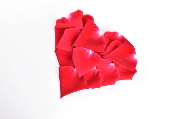 Röd hjärta form av ros kronblad blomma isolerad på vit bakgrund — Stockfoto
