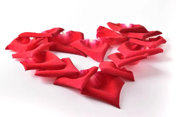 Röd hjärta form av ros kronblad blomma isolerad på vit bakgrund — Stockfoto