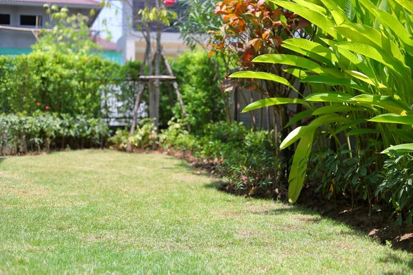 Prato giardino paesaggistico con erba verde tappeto erboso e piccola decorazione vegetale fuori casa — Foto Stock