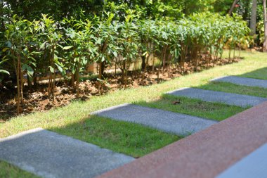 Bahçede dekore edilmiş yeşil çimlerin üzerinde duran kare taş blok geçidi.