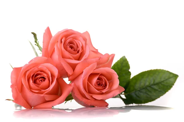 Помаранчевий трояндовий квітковий букет ізольований на білому тлі, колір краси персикового тону — стокове фото