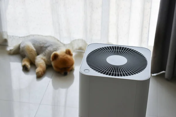 Luchtzuiveringssysteem reiniging stof pm 2,5 vervuiling in de woonkamer met schattige hond in huis — Stockfoto